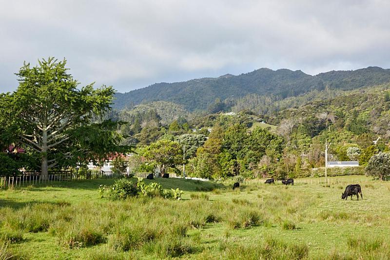 Studio 40 Coromandel Exterior foto
